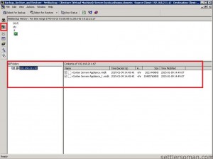 How to restore VMware VMs backups by NetBackup? | Settlersoman - A ...